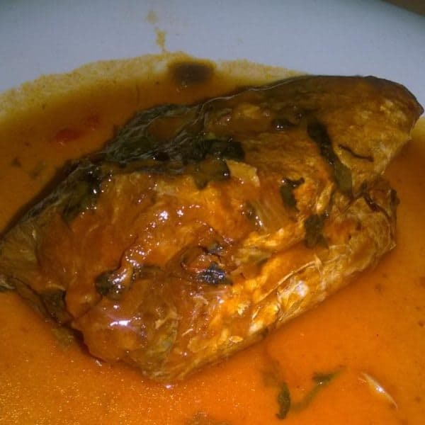 Fresh Croaker Fish in Sauce